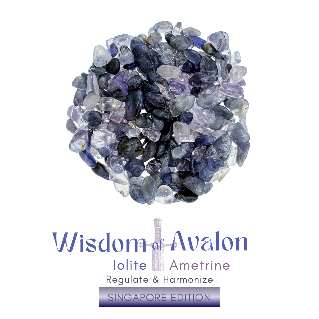 Inu - Wisdom of Avalon