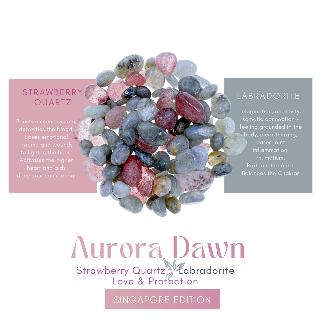 Inu - Aurora Dawn