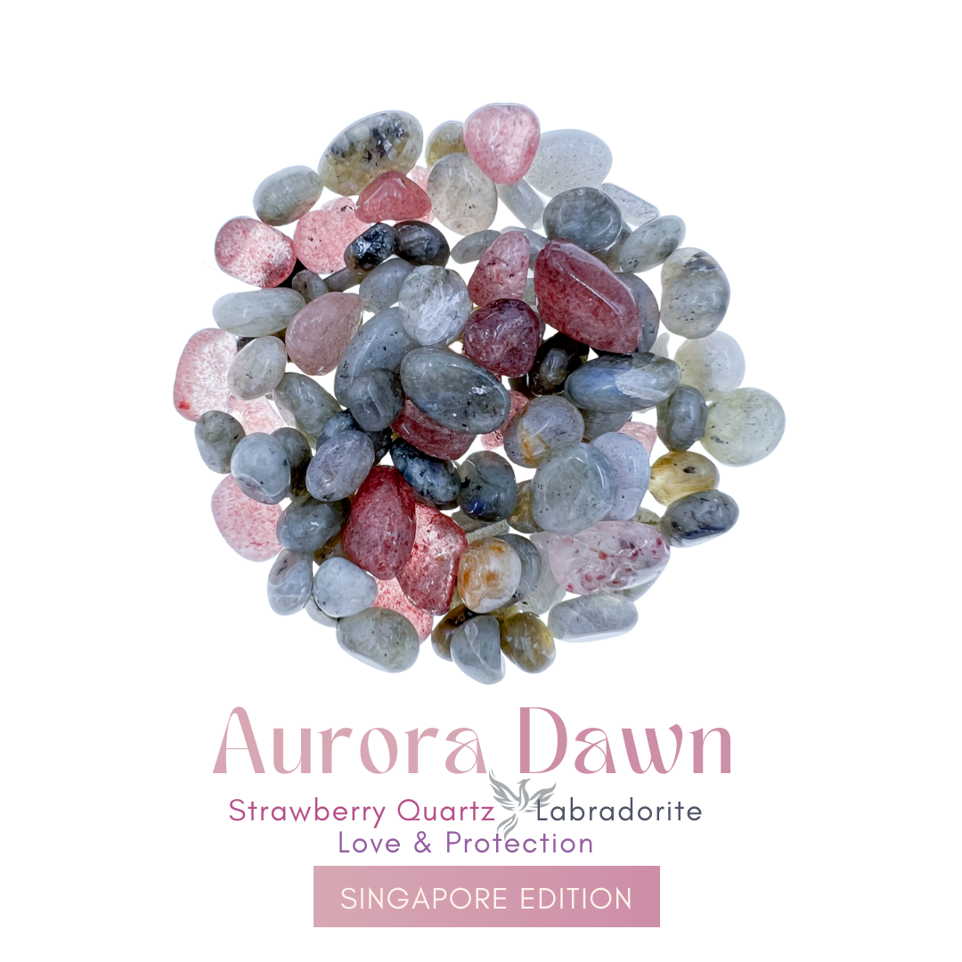 Inu - Aurora Dawn