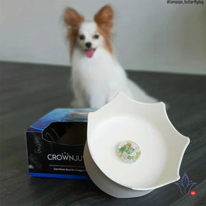 Crown Juwel Pet Bowl- Natural White
